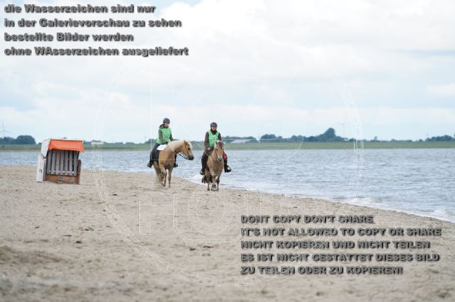 s_K3F04994.JPG